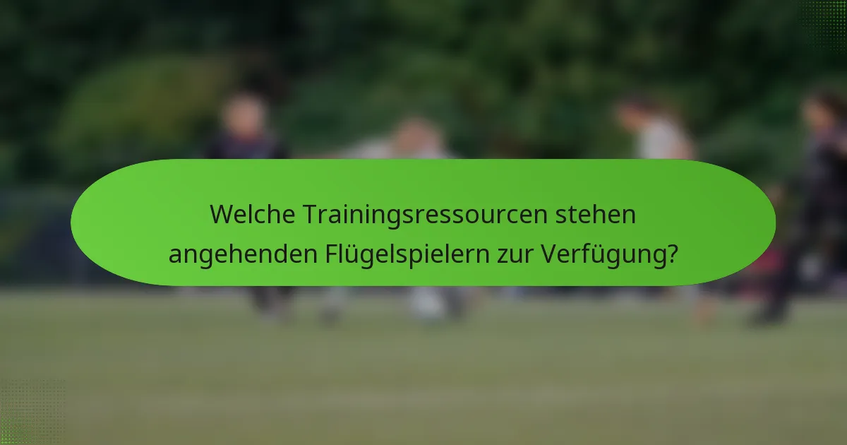 Welche Trainingsressourcen stehen angehenden Flügelspielern zur Verfügung?