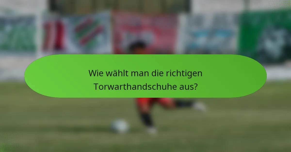 Wie wählt man die richtigen Torwarthandschuhe aus?